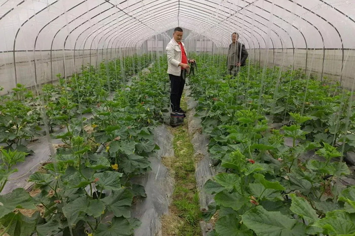 1654054694258876.jpeg 3.jpg