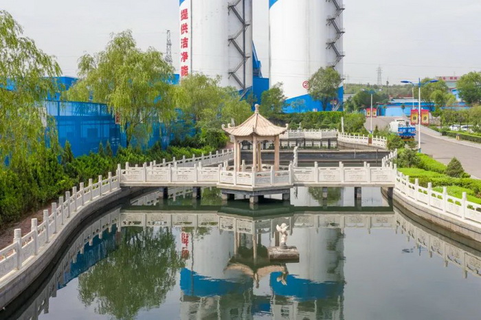 1654912963505208.jpeg 2.jpg