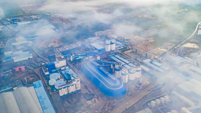 1673964877459798.jpeg 46446.jpg