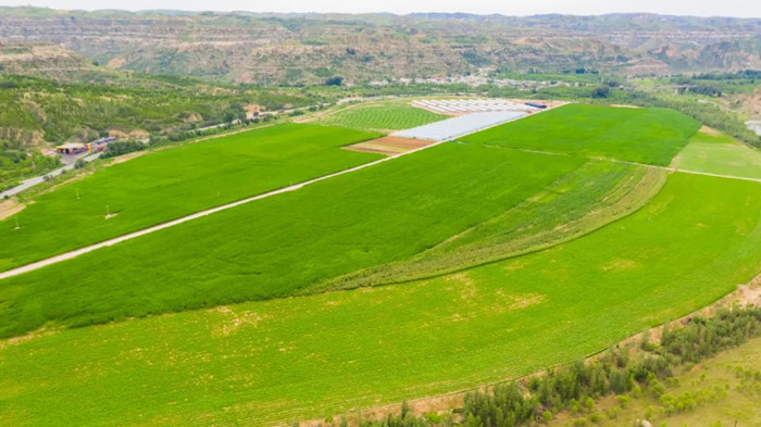 1675762457431735.jpeg 111.jpg