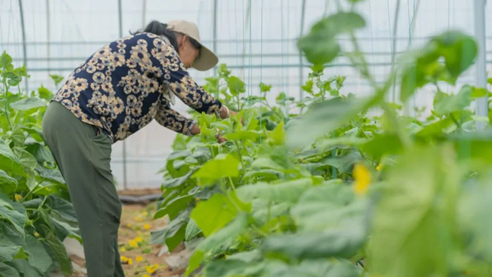 1675762466642356.jpeg 222.jpg