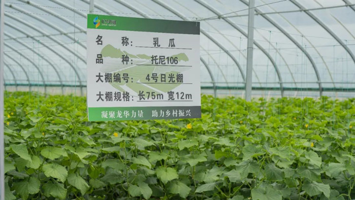 1675762476721058.jpeg 333.jpg