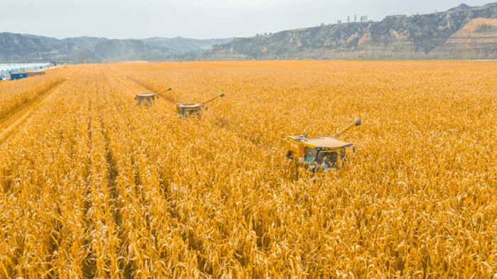 1675762485126616.jpeg 444.jpg