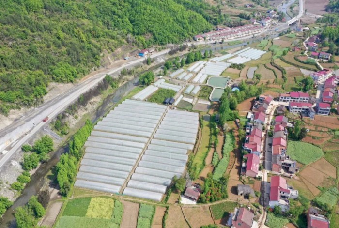 1689174151800206.jpeg 22.jpg