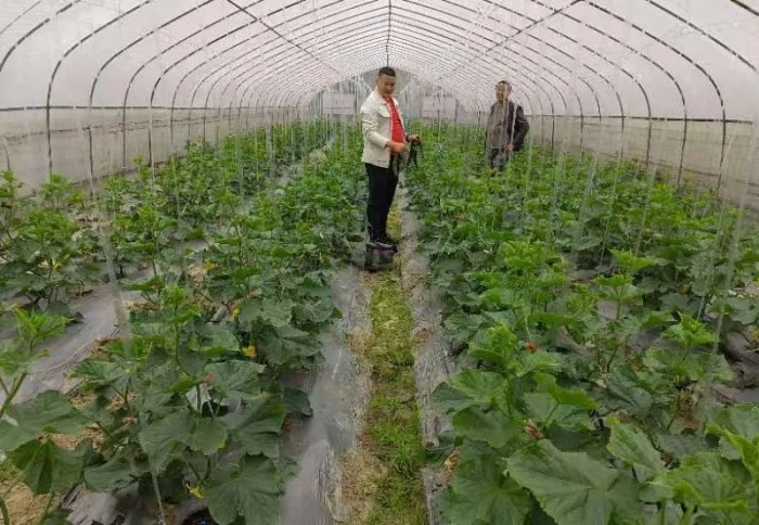 1689174160838575.jpeg 33.jpg