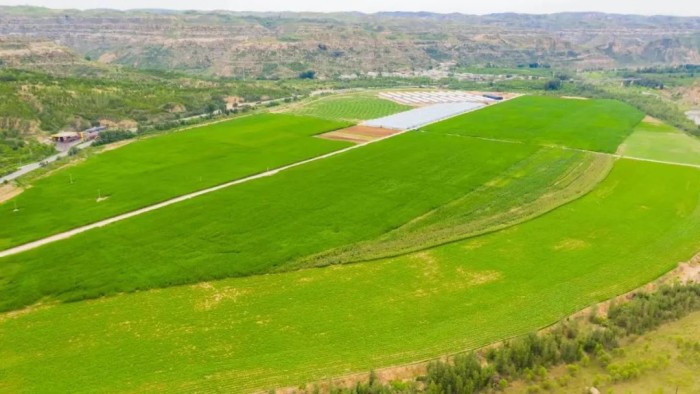 1699006365848347.jpeg 456.jpg