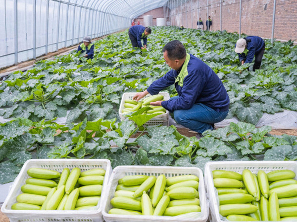 1710289701732659.jpeg 33.jpg