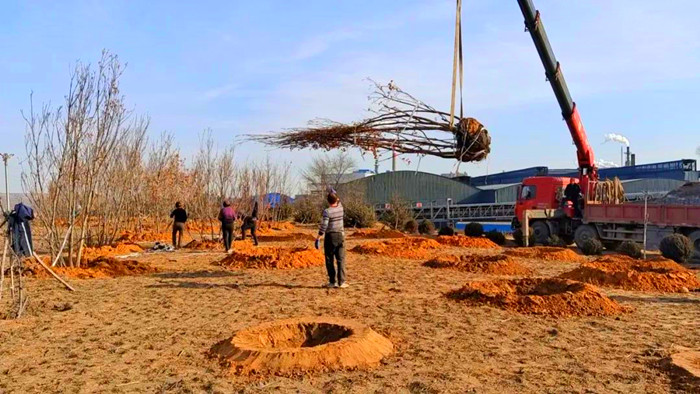 1710408108836716.jpeg 11.jpg