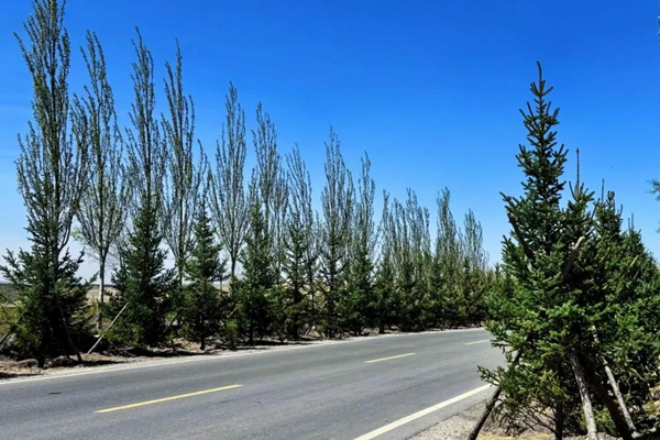 1746545604858368.jpeg 111_¸±±¾.jpg