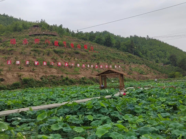 1757465086781343.jpeg 111_¸±±¾.jpg