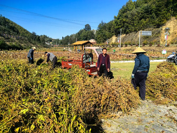 1757465099799542.jpeg 222_¸±±¾.jpg