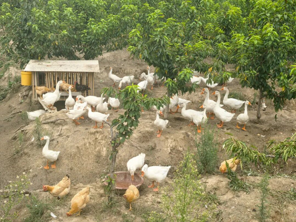 1757465113128799.jpeg 333_¸±±¾.jpg