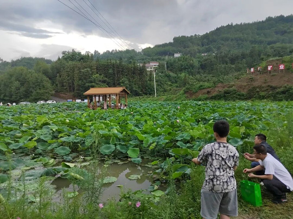 1757465127579408.jpeg 444_¸±±¾.jpg