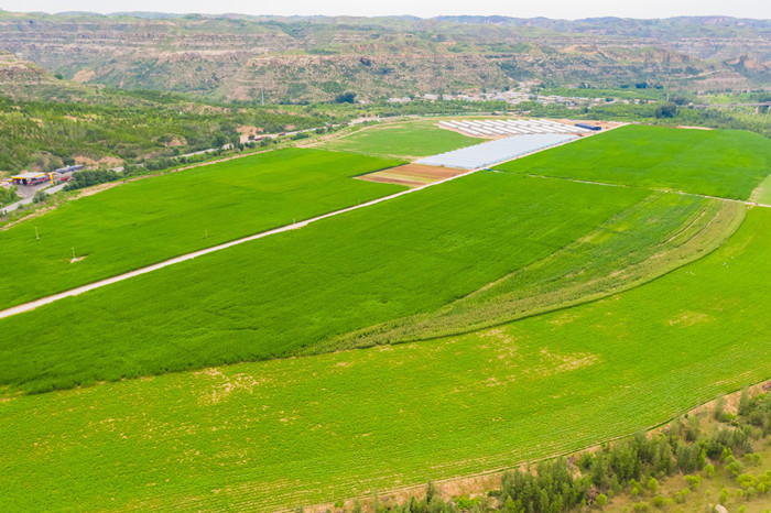 1761091308542017.jpeg Áú»ªÉú̬Ê÷Ä£Ô°.jpg