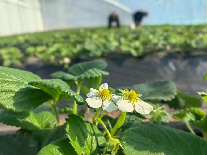 1764637570758994.jpeg 640_¸±±¾.jpg