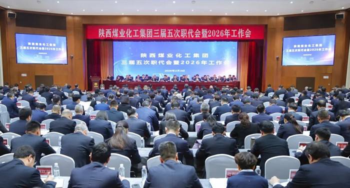 1770165251570532.jpeg 11.jpg