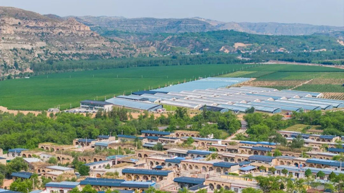 1770425643144441.jpeg 111_¸±±¾.jpg