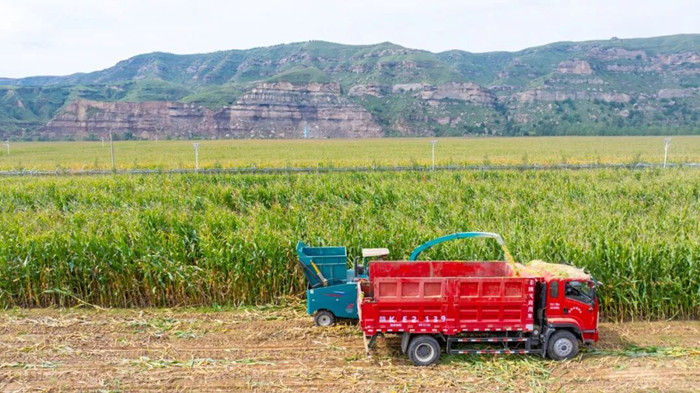 1770425651579091.jpeg 222_¸±±¾.jpg