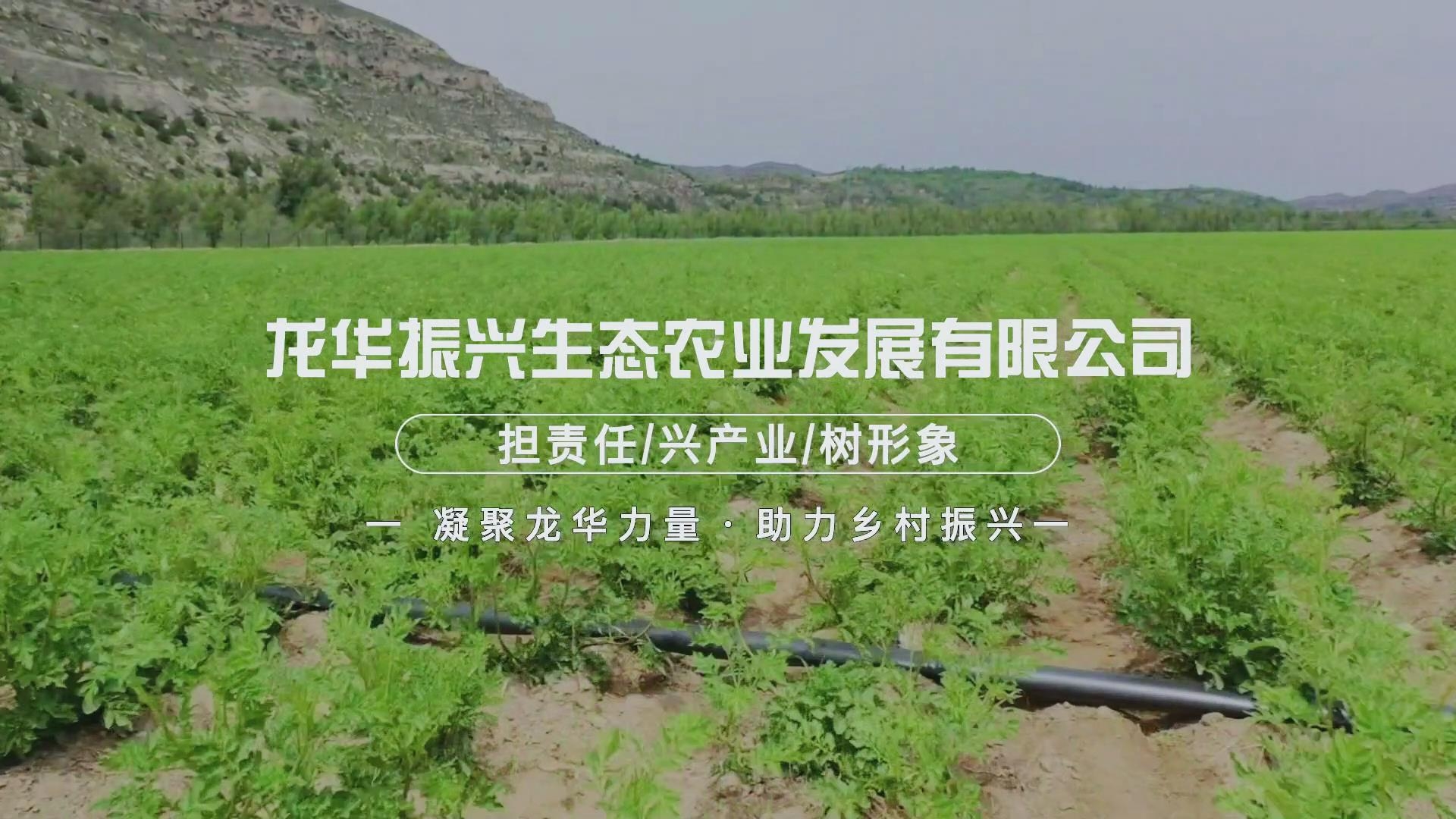 ������Ǯlzyq88(�й�)���޹�˾