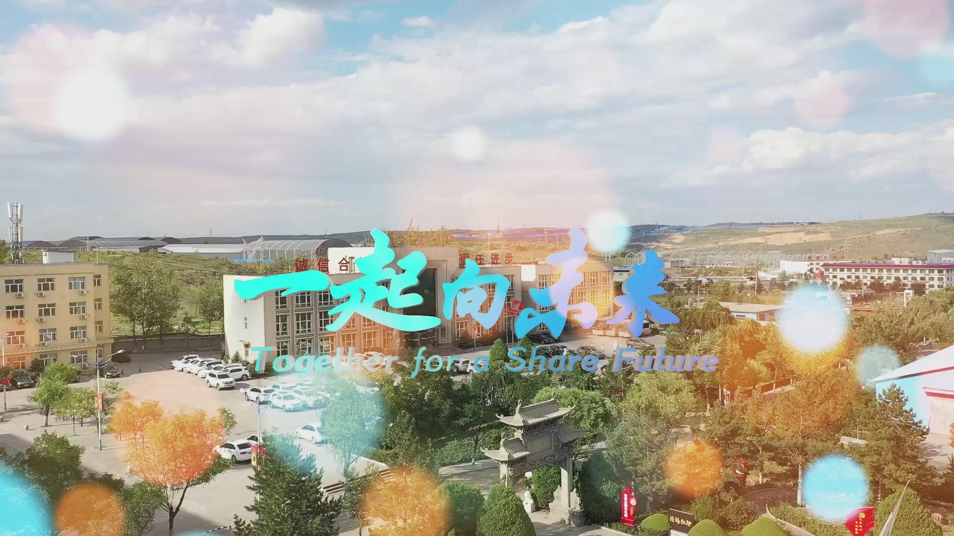 ������Ǯlzyq88(�й�)���޹�˾